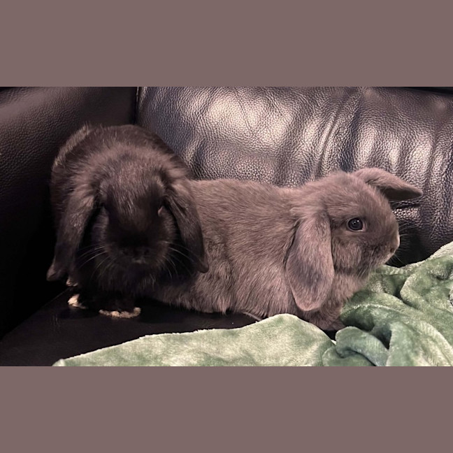 Photo of Unity & Uris