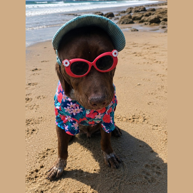 Photo of Cino