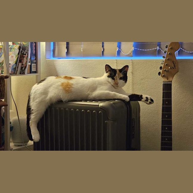 Photo of Mitzi