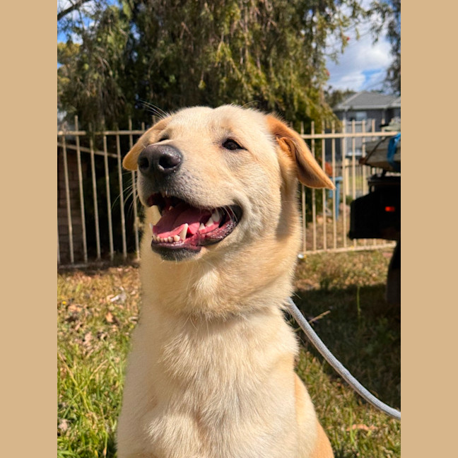 Photo of Atlas