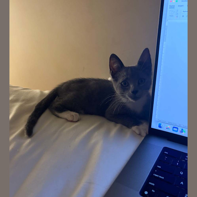 Photo of Lily ❤️
