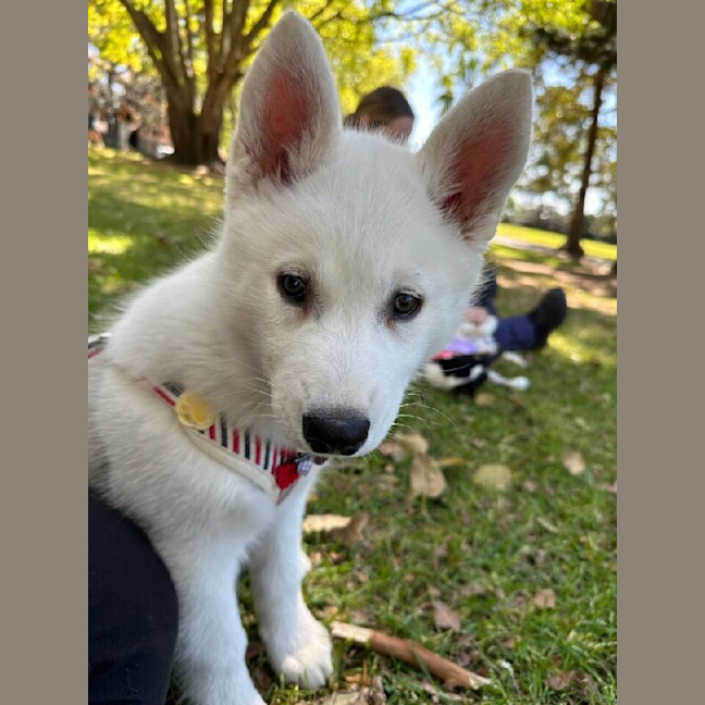 Photo of Maya