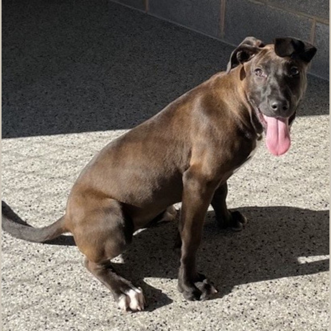 Photo of Nellie