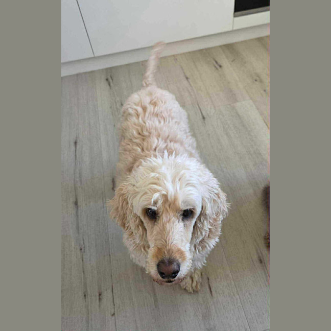 Photo of Saphoura And Nelson