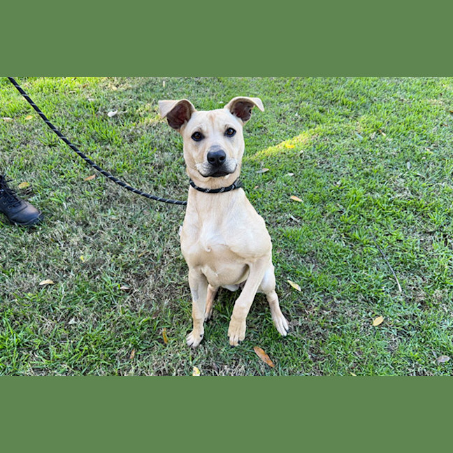 Photo of Slinky