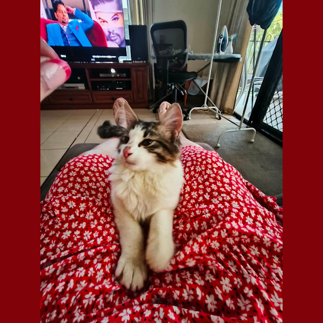 Photo of Rupert