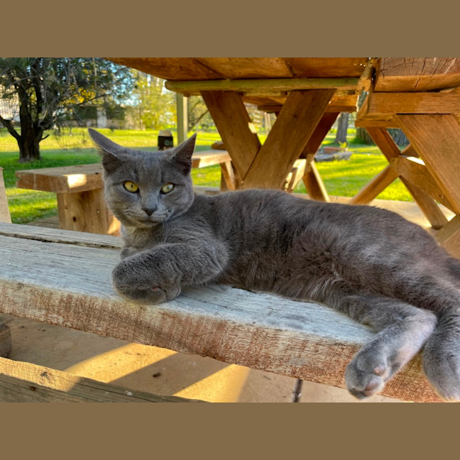Photo of Gus