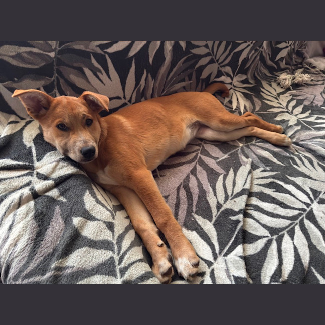 Photo of Kaya
