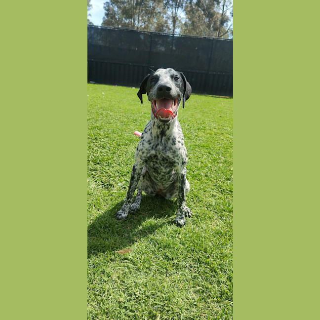 Photo of Lainey
