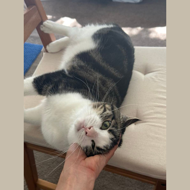 Photo of Coffee   Located In Thornbury