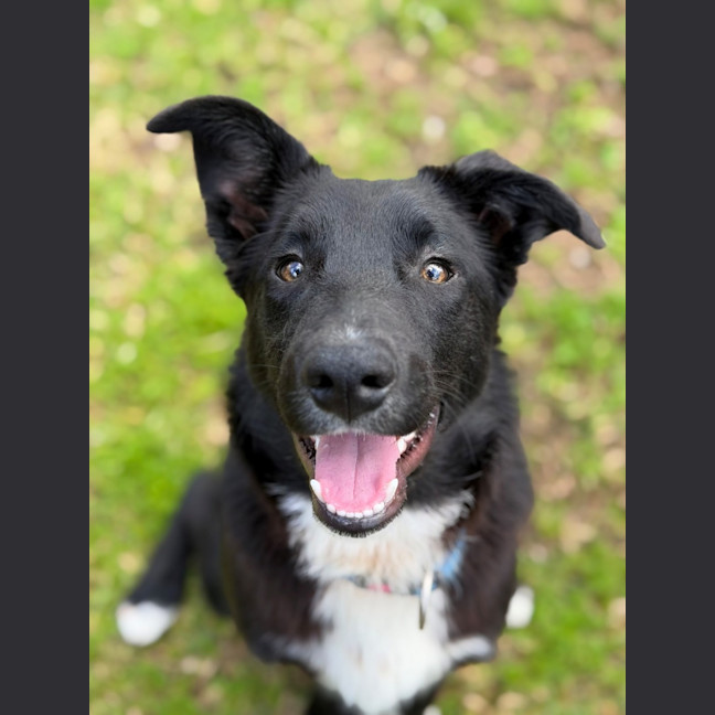 Photo of Rex