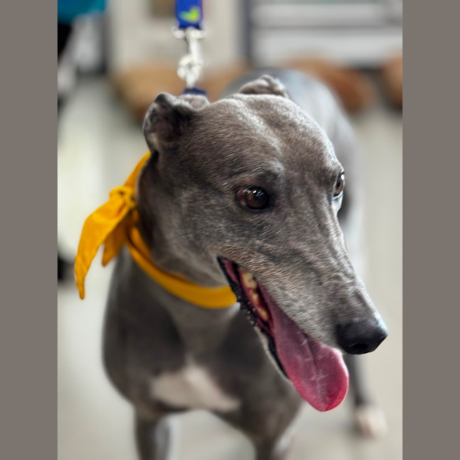 Photo of Winnie 