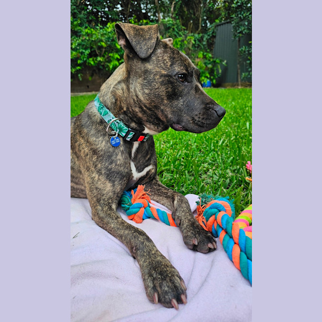 Photo of Meekah