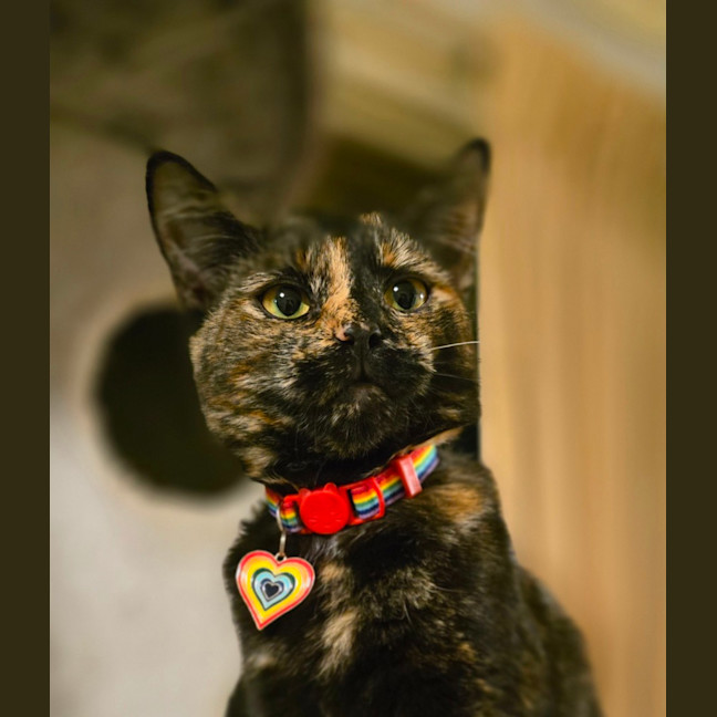 Photo of Hazel
