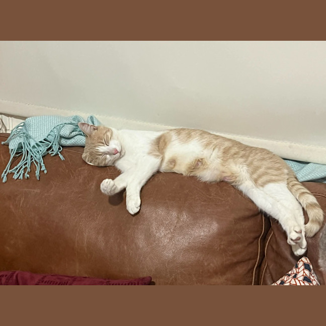 Photo of Sandy