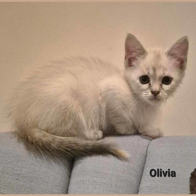 Photo of Olivia