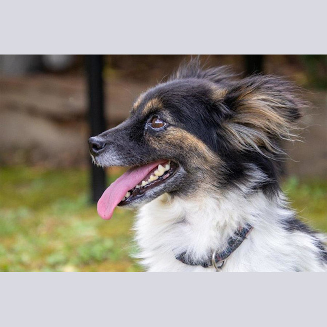 Photo of Betsy Moriarty