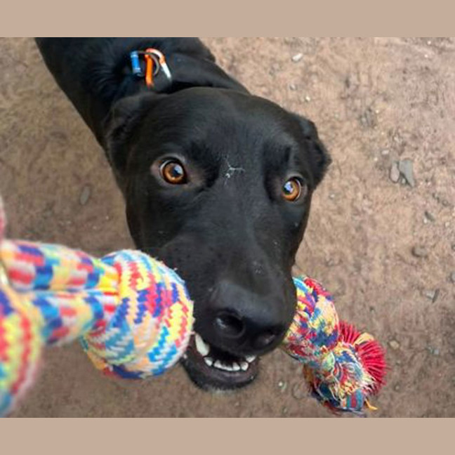 Photo of Hugo