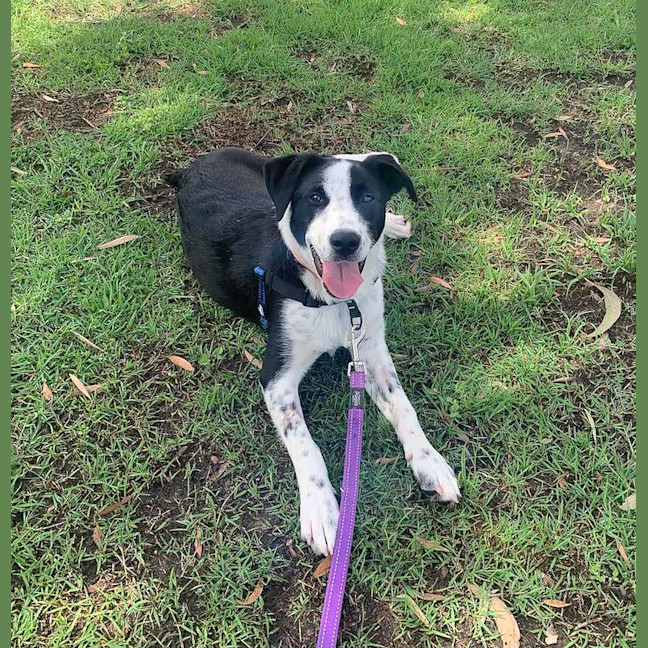 Photo of Penny
