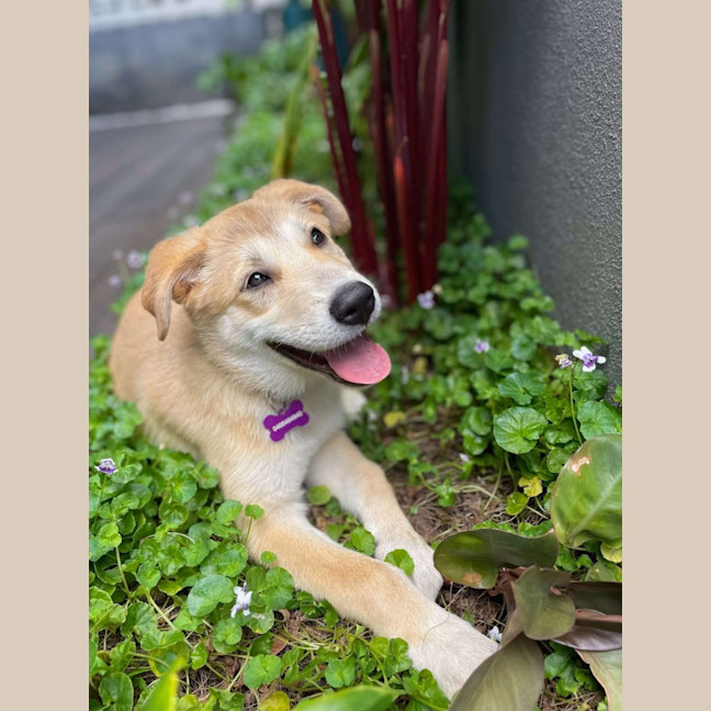 Photo of Jazz