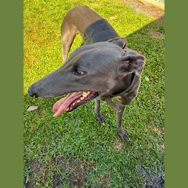 Photo of Wally
