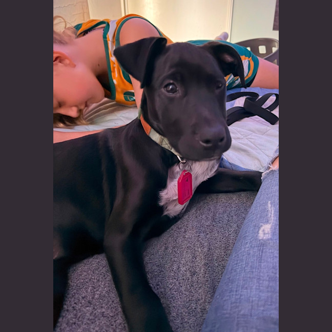 Photo of Coco