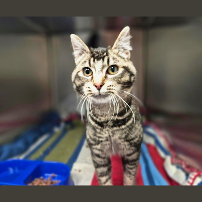 Photo of Kiki