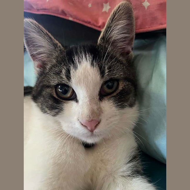 Photo of Elfie