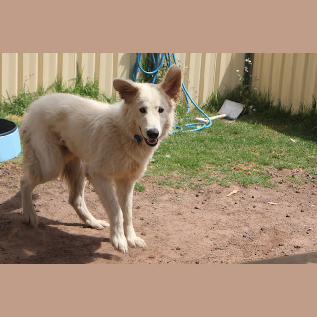 Photo of Belle