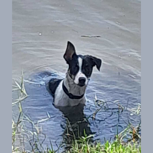 Photo of Bugsy