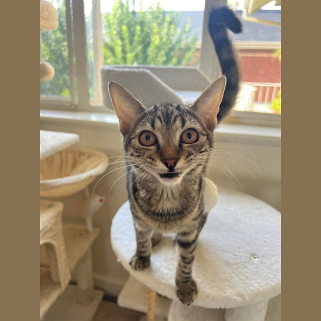 Photo of Tippy 