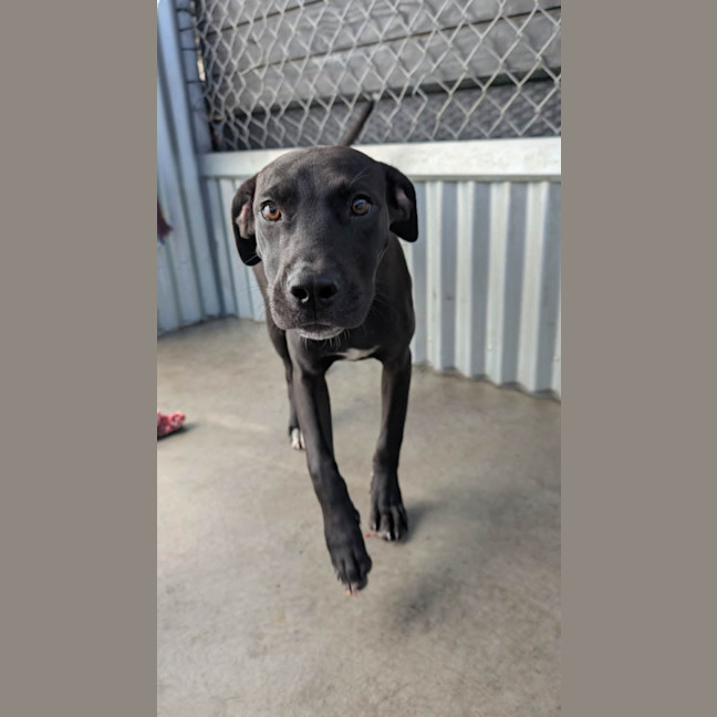 Photo of Thelma