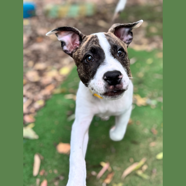 Photo of Jace