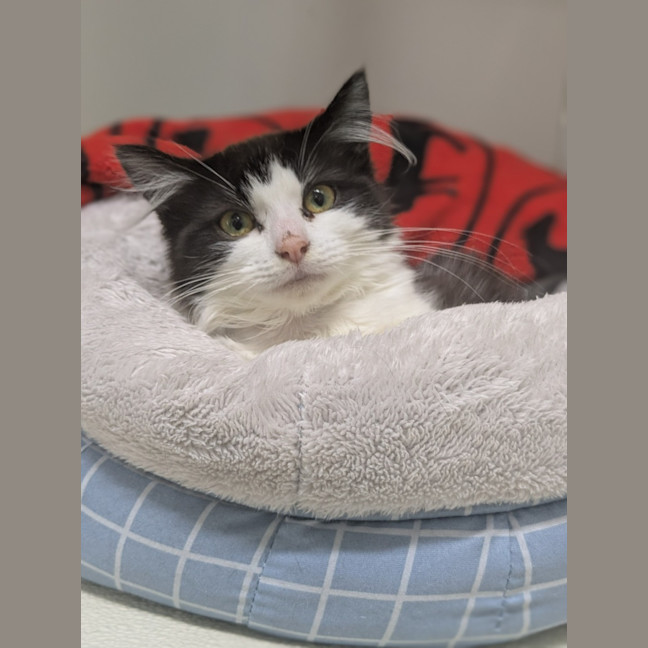 Photo of 🦄 Puurl 6332 🦄