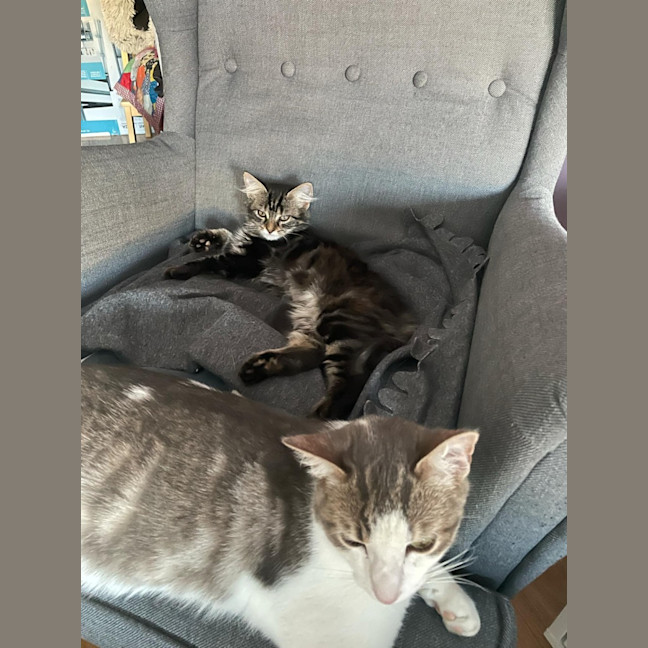 Photo of Jasmine   Located In Bentleigh