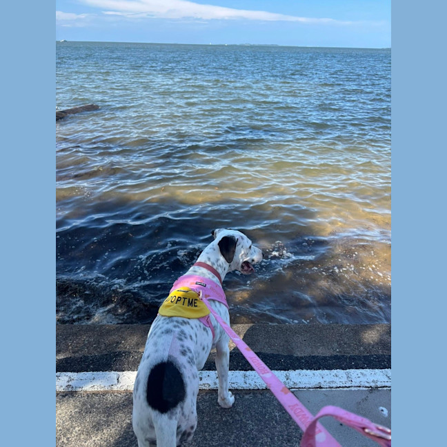 Photo of Matilda