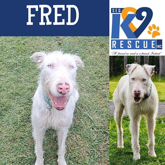 Photo of Fred