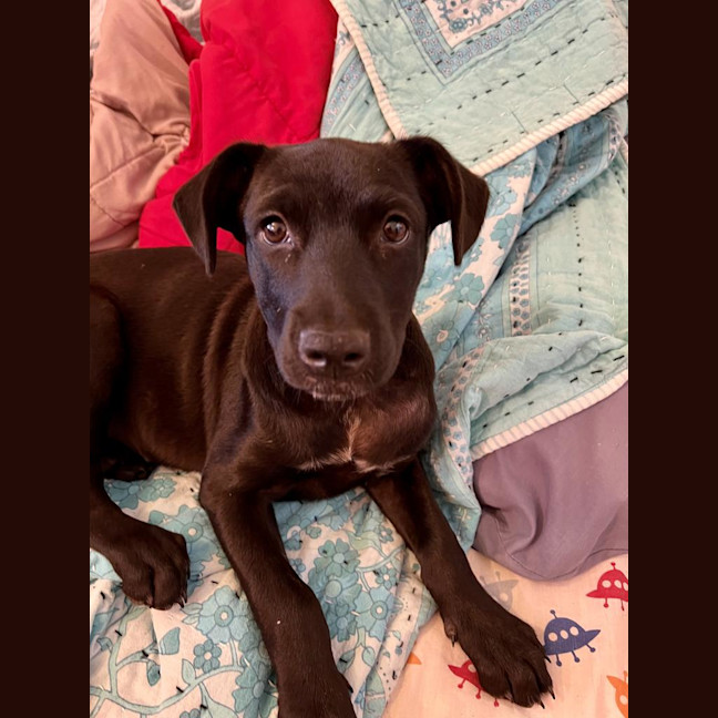 Photo of Skinny Marie (Evie)