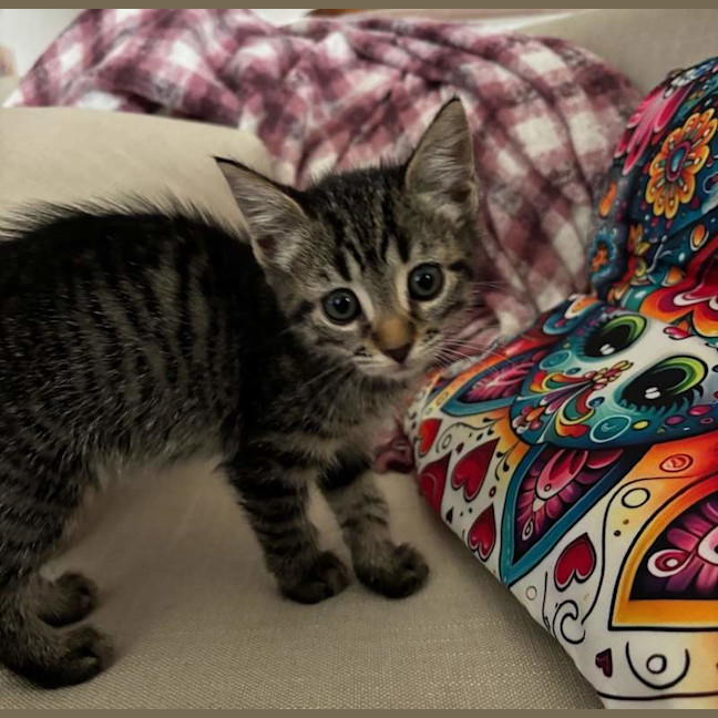 Photo of Cleo