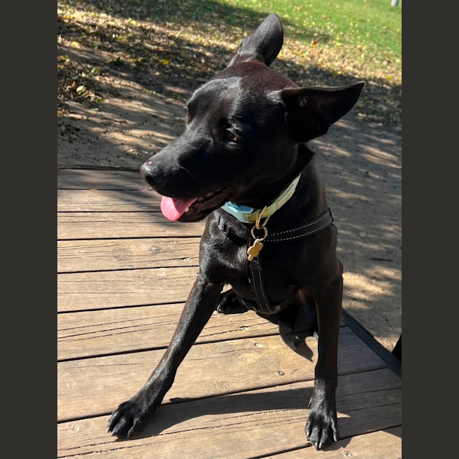 Photo of Lenny