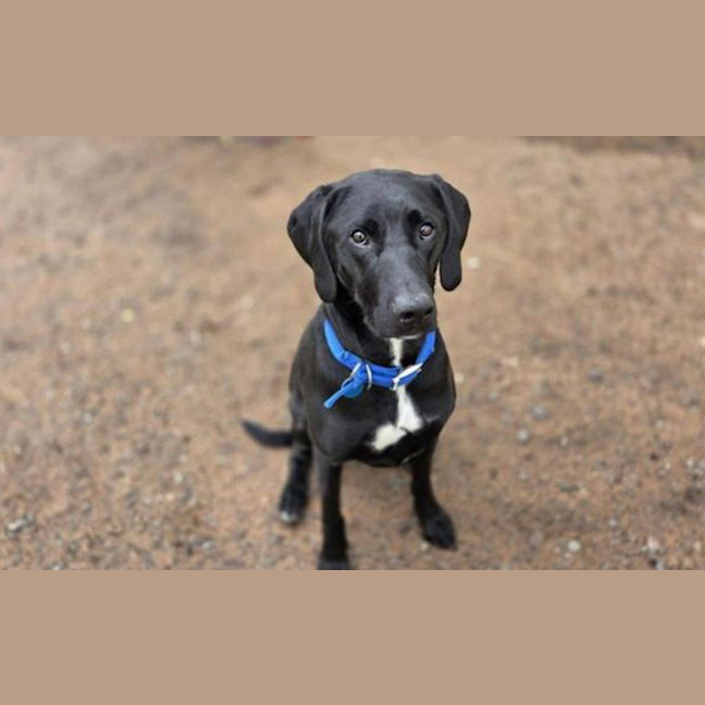Photo of Herbie