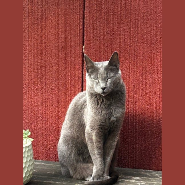 Photo of Lexi
