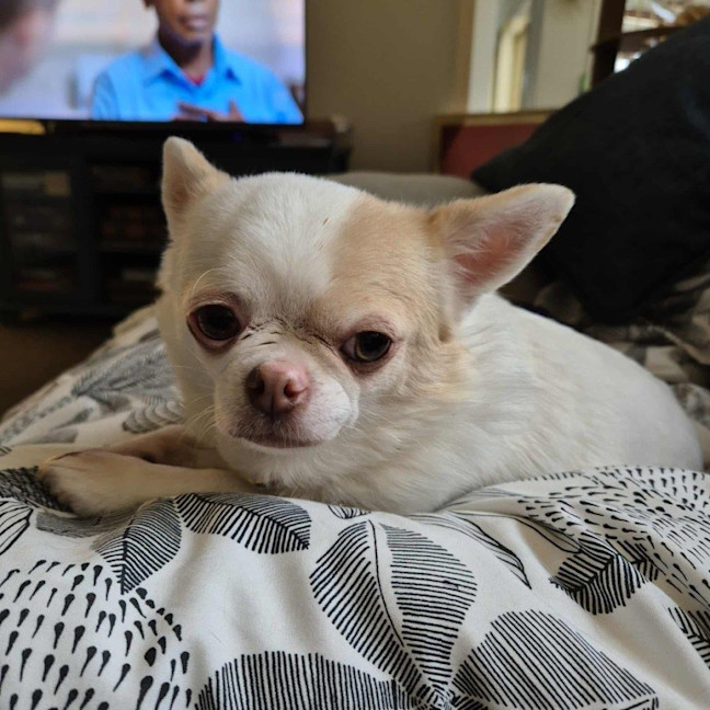 Photo of Goose And Stevie Uffelman