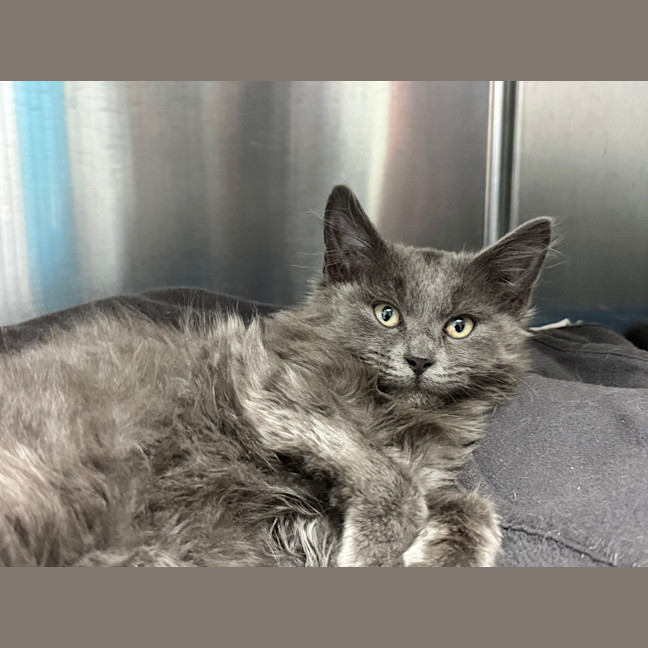 Photo of Bob Barnacles