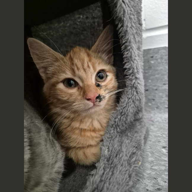 Photo of Captain! 🏴‍☠️ 