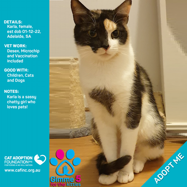 Photo of Karla Only $39 Limited Time!