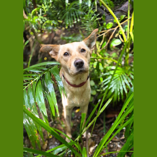 Photo of Marley 