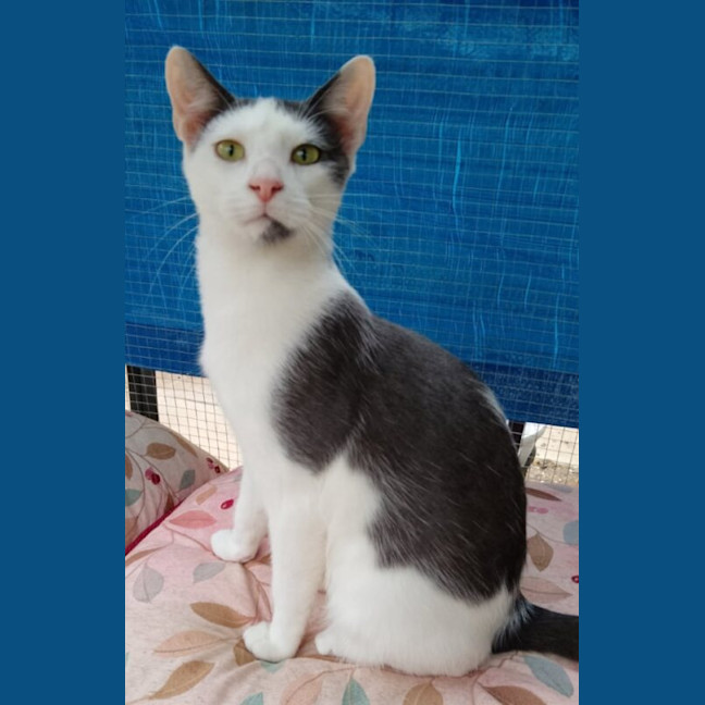Photo of Lucky