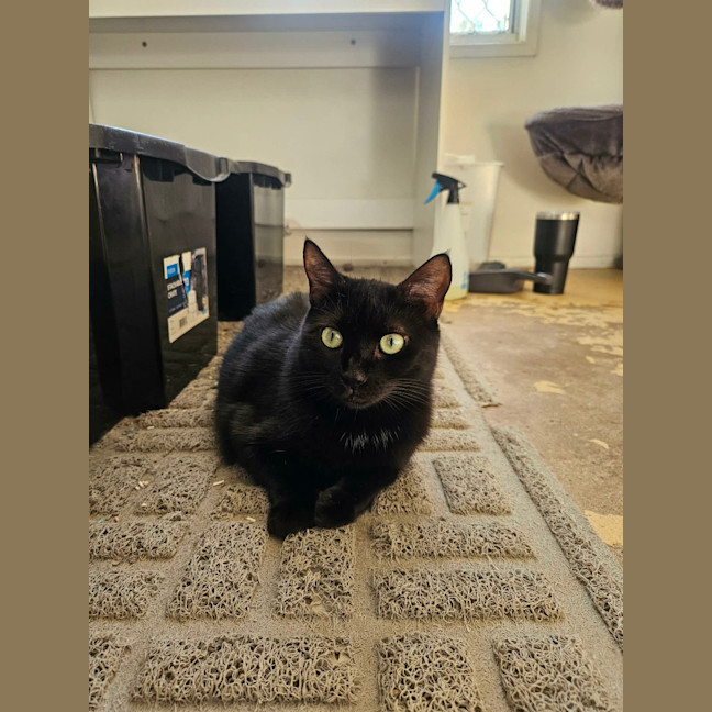 Photo of Bridget