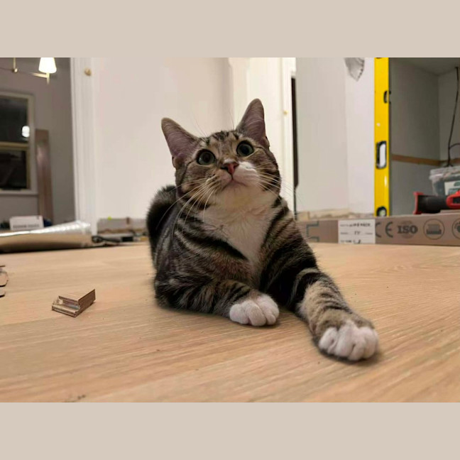 Photo of Little One